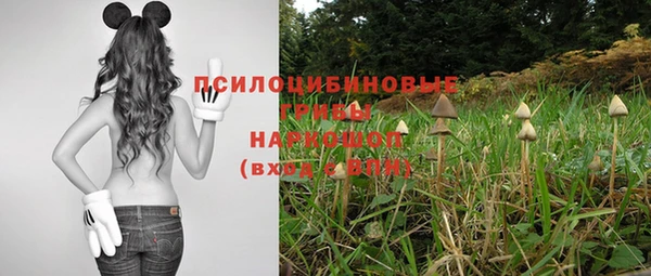 амф Алексин