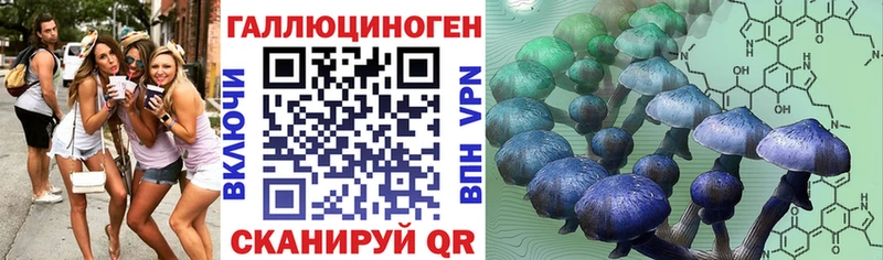 Галлюциногенные грибы прущие грибы  Купить  Архангельск 